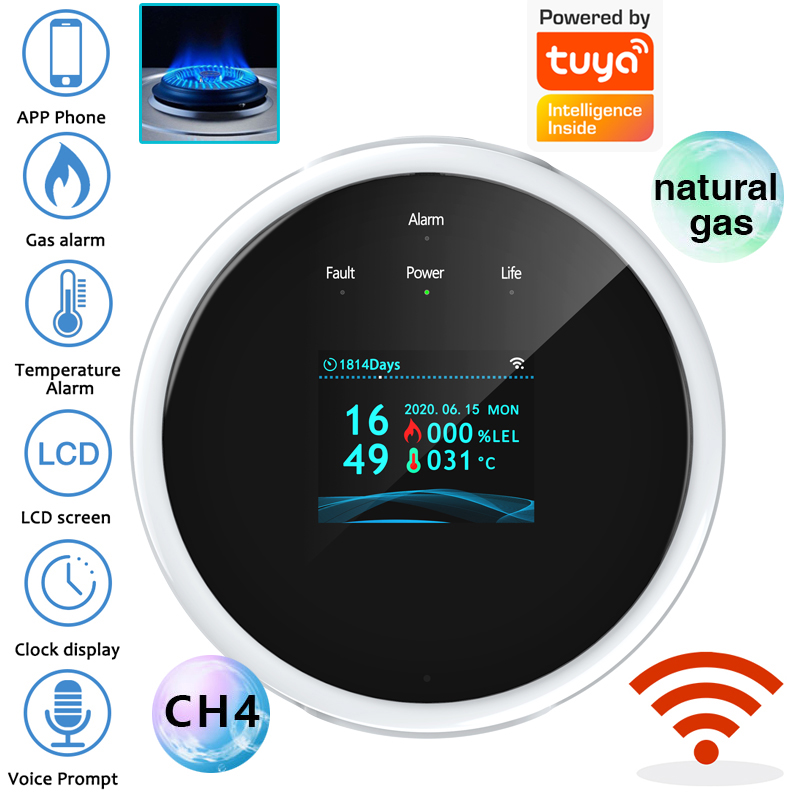 2.4G WiFi Gas Alarm Sensor Com - Home Security Tools recension och pris