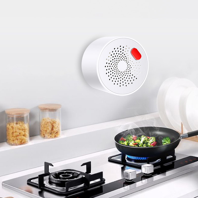 Tuya Smart Home Wifi Natural G - Home Security Tools recension och pris